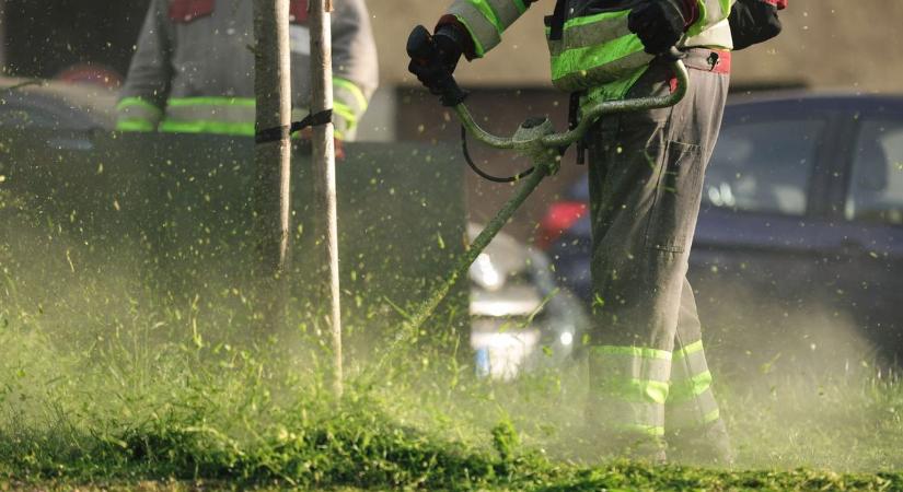 Hangos fűnyíró, drága következmények: így kerüld el a borsos bírságot!