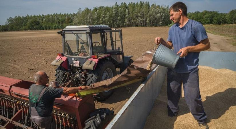 Esőben bíznak a napraforgó és kukorica vetésébe kezdő gazdák