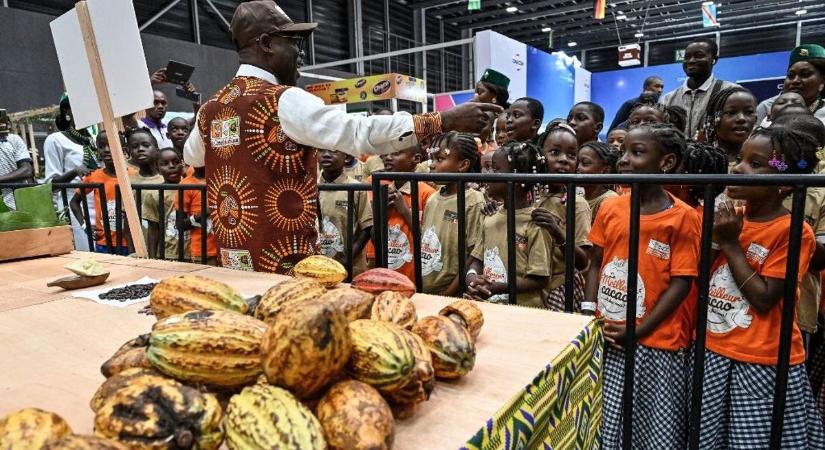 Afrikában nő a feszültség, borulhat a kakaópiac