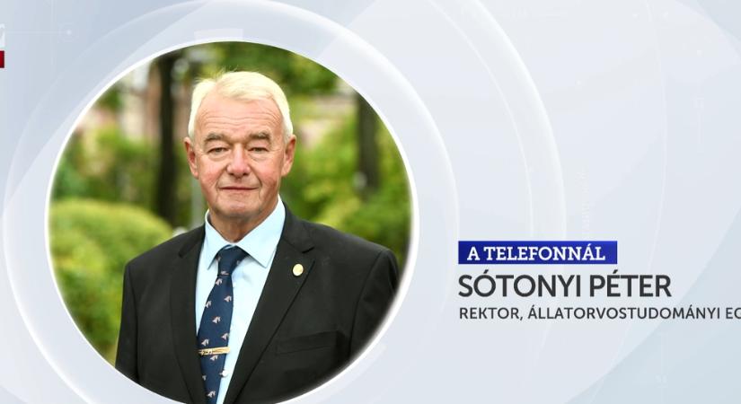 Befejeződött a rábapordányi állatartó telep felszámolása
