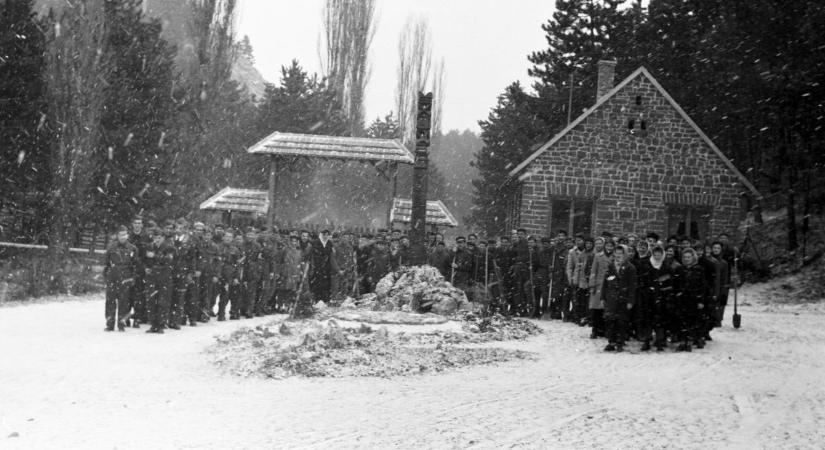 Így építették egyetemisták a veszprémi állatkertet