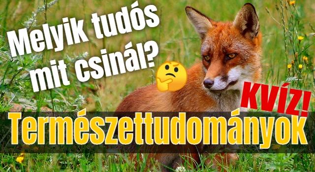 Kvíz: Tudod mit csinál egy etológus, ökológus, vagy a geológus? Lássuk!