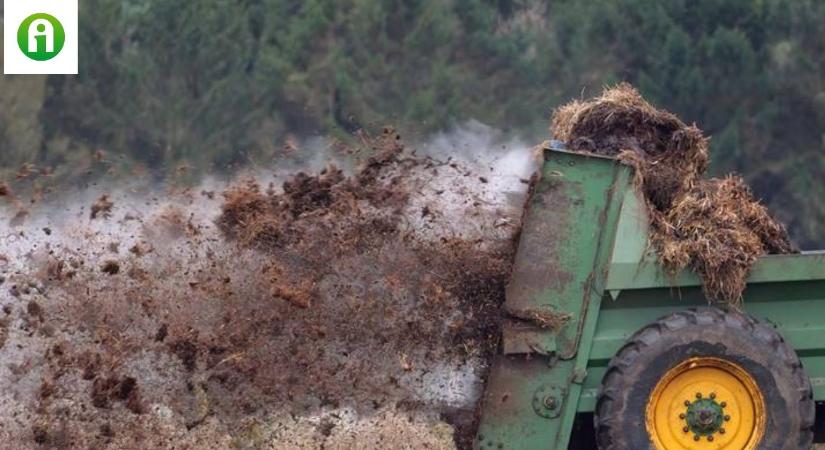 Ezért fontos a trágyázás jó ütemezése, ha zöldséget termelsz