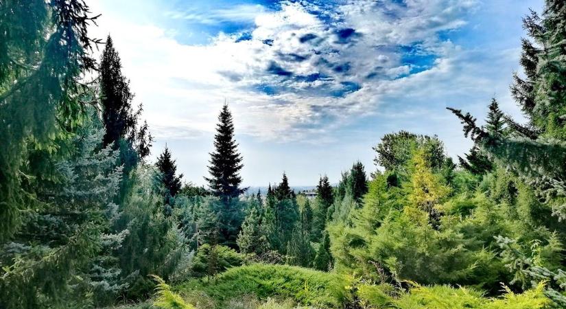 Avasi Arborétum: Zöld oázis Miskolc szívében