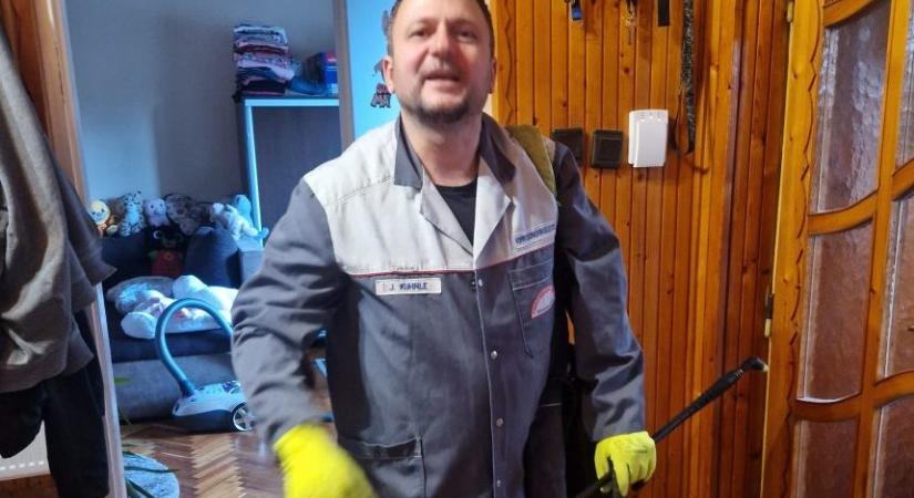 Debrecen sem mentes az élősködőktől – így harcol velük a kártevőirtó
