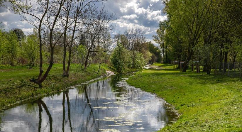 Mégis miért tette? Felháborító rongálás Debrecenben
