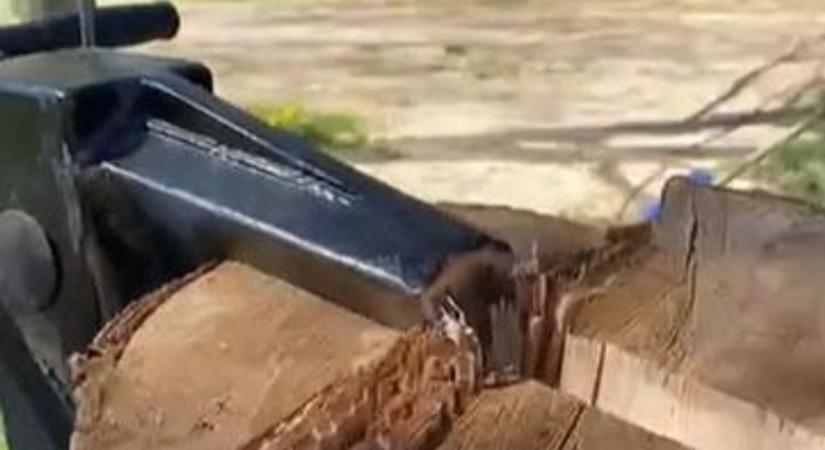 Tavaszi nagytakarítás a bakonyi udvarban? Ne hagyd ki a tűzifa-előkészítést! (videó)