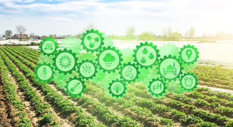 Digitális fordulópont az agráriumban: 2025 hozhat áttörést