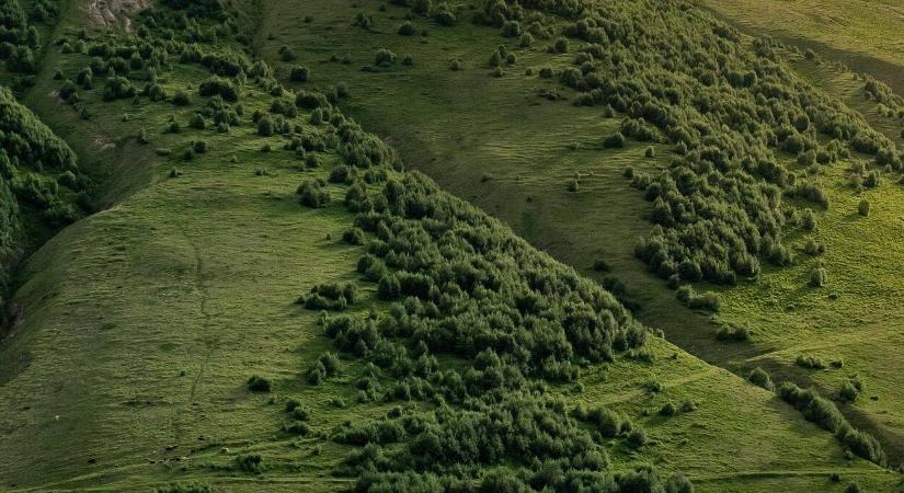 Föld napja: fenntartható gazdálkodás az agráriumban