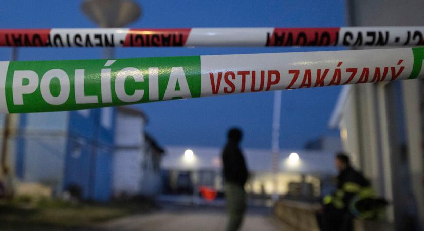 Két évbe telt, mire meggyanúsították a gyermekpornót terjesztő nagymihályi rendőrt, most távozik a testülettől