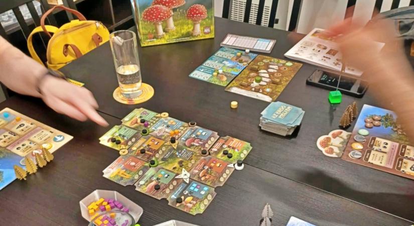 Társasjáték kávézó. Hobbira épülő üzlet: Board Game Café