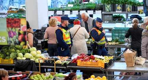 Drága lesz idén a hazai gyümölcs – tájkép fagykár után