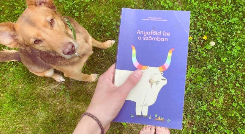 Anyaföld íze a számban, a homofóbia kavicsa a cipőmben – elolvastuk a Pride novelláskötetét