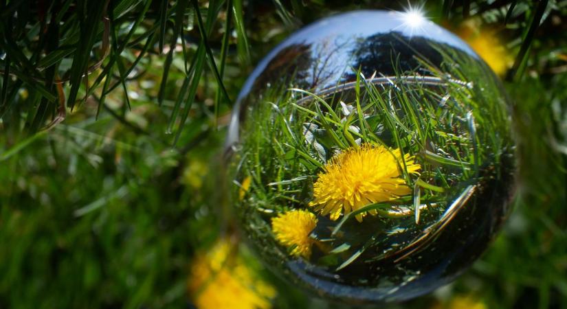 Föld napja – kattintás a jövőnek