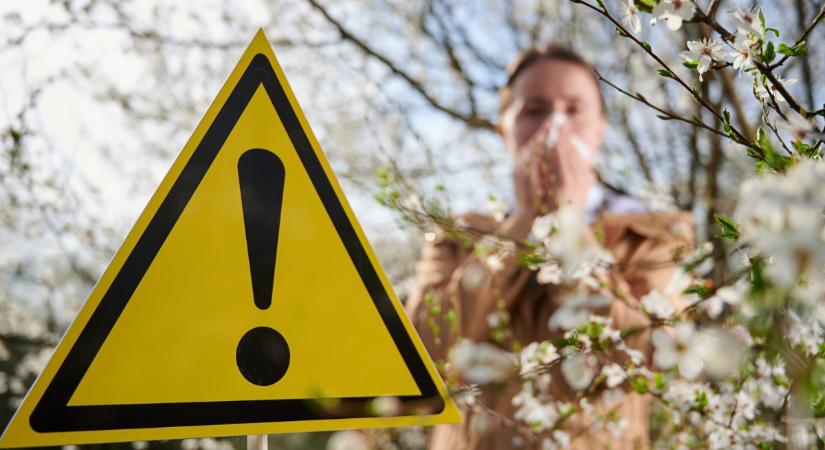 Allergiaszezonban se hagyjuk magunkat becsapni!