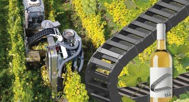 Robotok szüretelnek a meredek dűlőkön is – itt az automata szőlőbetakarító