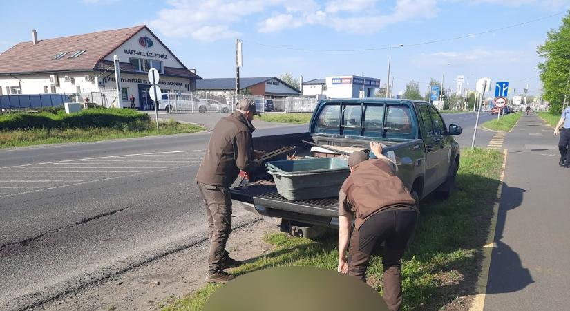 Sajnos gázolás történt Nyíregyházán