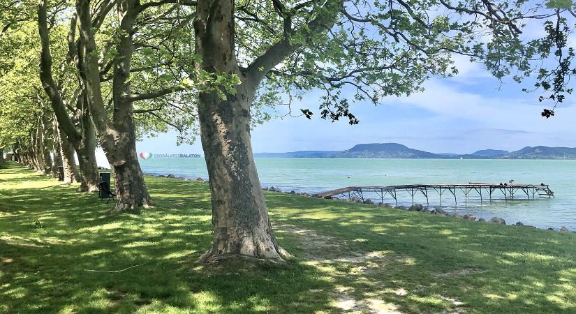 Családi majális 2025 Balatonboglár