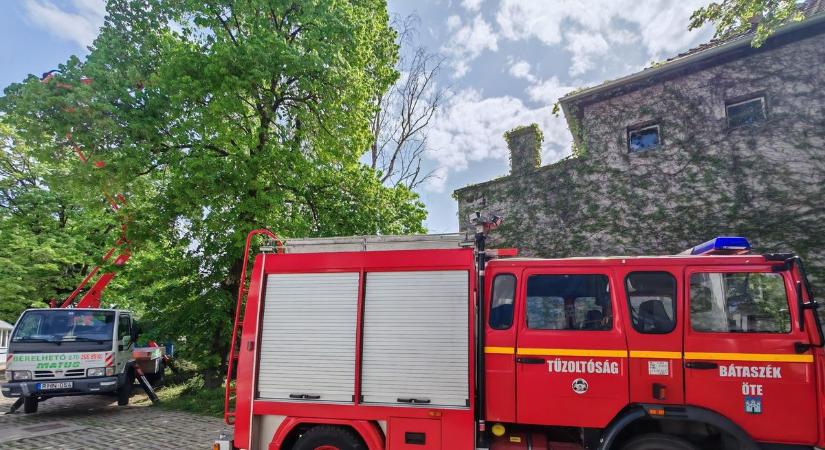 Veszélyes műveletre vállalkoztak a bátaszéki tűzoltók