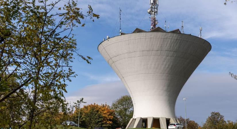 Felháborító rózsarablás: elvitték a Haraszt-hegy virágait