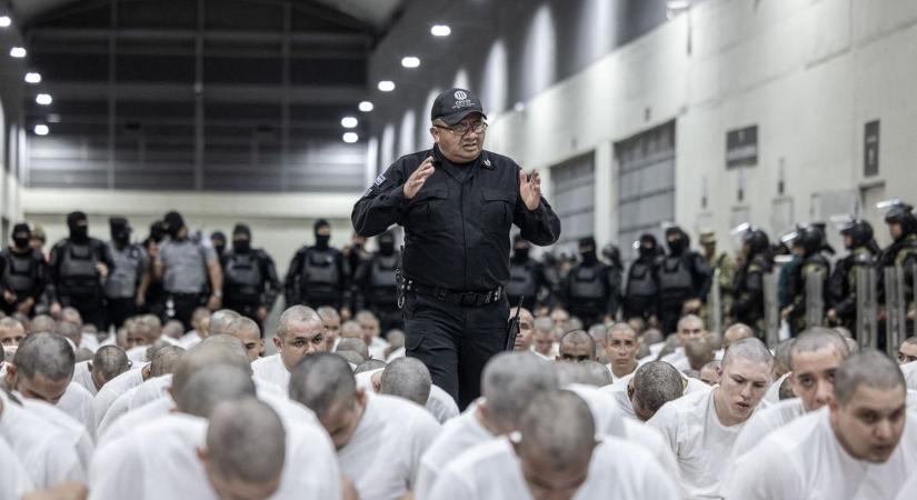 Rendteremtés: Venezuelából csempészett nőket kényszerítettek prostitúcióra, de Trumpék kíméletlenül lecsaptak