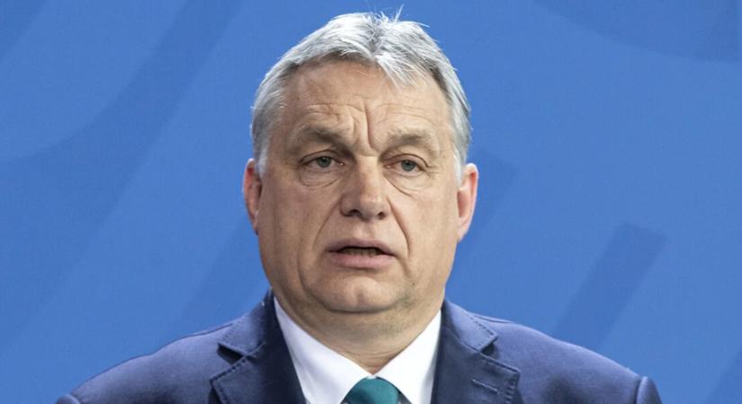 Ragadós száj- és körömfájás 2025: döbbenetes információk jutottak a Demokratikus Koalíció birtokába