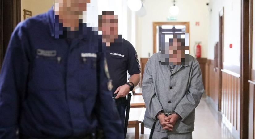 Jogerős ítélet Győrben - 16 év fegyház a sodrófás bántalmazónak