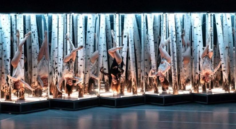 Világzene, faltánc, jazz és balett is lesz a Bartók Tavasz pécsi programjai közt