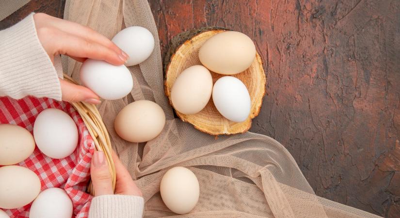 Békés vármegyében is megjelent a madárinfluenza