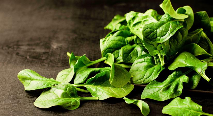 Vaspótlás élvezetesen: 81 spenótos recept, amihez még a gyereknek is kedve lesz!