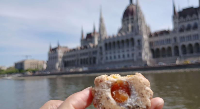 Időutazás a Kisfaludy Lapátkerekes Gőzhajón