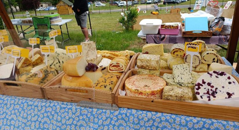 Vegyünk trappista sajtot – a Tej Terméktanács kampánya