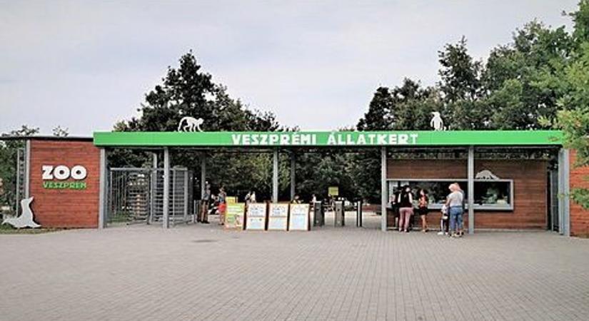 Új apróság született a Veszprémi Állatkertben
