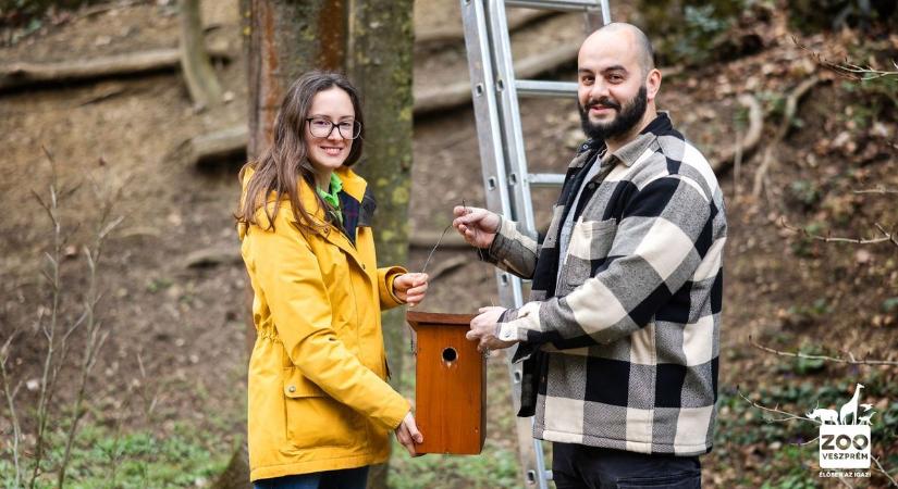 Cinkeprojekt a Veszprémi Állatkertben (videó)