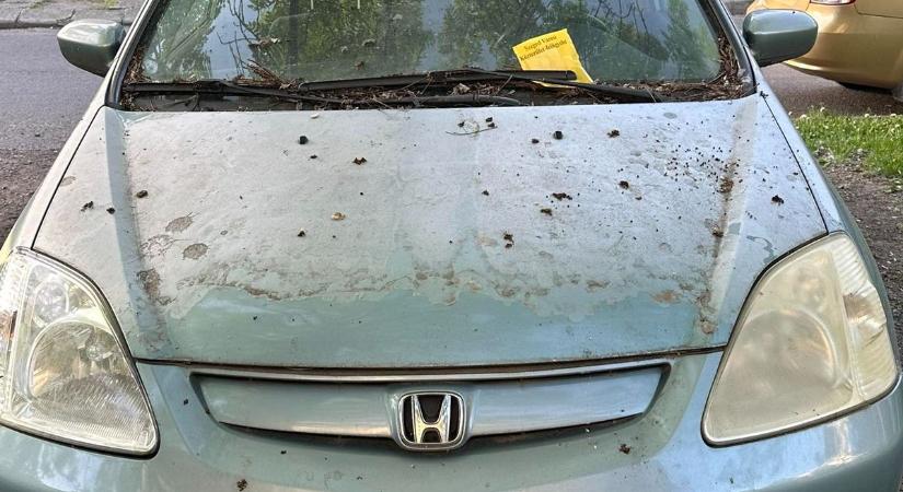 Ez a Honda már öt éve halott, szomorú sors vár rá