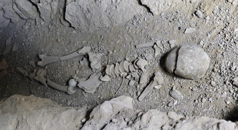Oroszlánharapás nyomaira bukkantak egy 1800 éves gladiátor holttestén