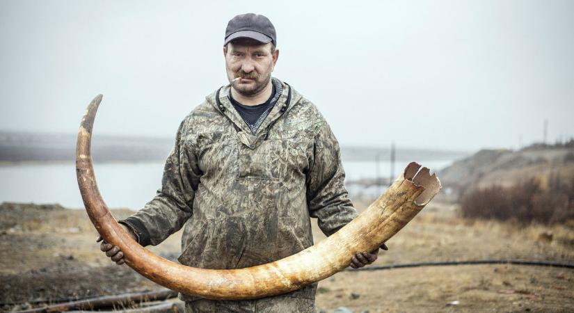 44 ezer éves élőlény olvadt ki, amit a szájában találtak, attól lefagyott a tudományos világ