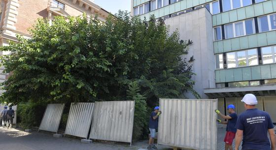 Cáfolja az államtitkárt Pikó András, szerinte nem egyeztettek az önkormányzattal a Pázmány-kampusz módosult terveiről