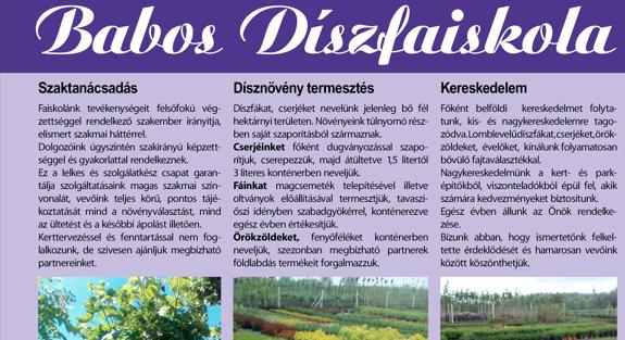 BABOS DÍSZFAISKOLA-FÜLÖPHÁZA