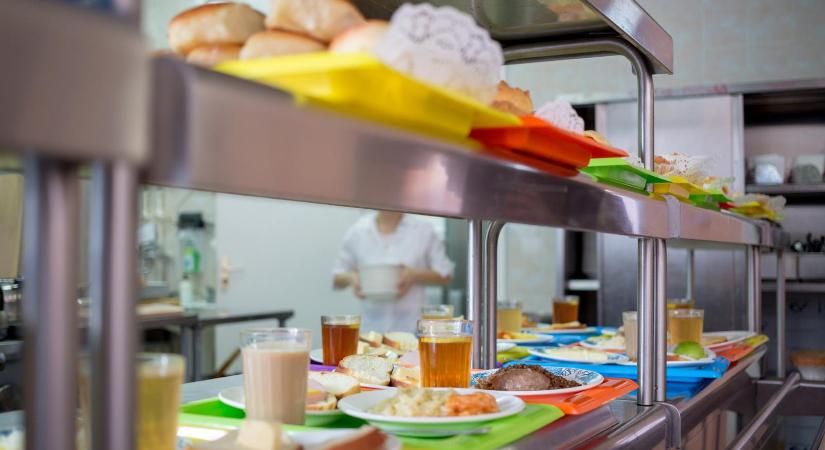 8,6 millió forintos bírsággal sújtották a közétkeztető céget, amelyik miatt 867 ember lett beteg Nagykőrösön