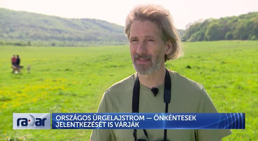 Radar - Országos ürgelajstrom: Önkéntesek jelentkezését is várják  videó