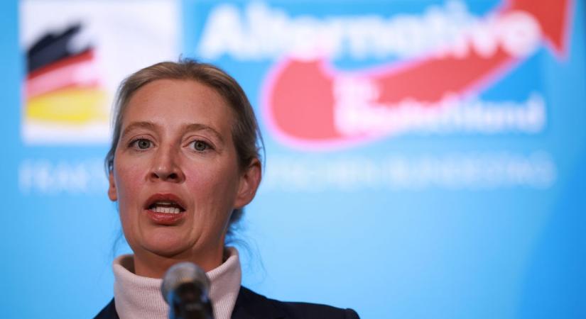 A német társadalom az oka az AfD erősödésének