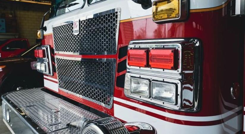 Veszélyessé vált egy fa a letenyei iskolaudvaron