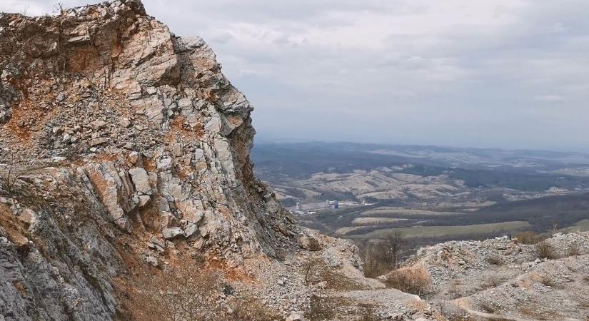 Besárgult a rét Bélapátfalvánál, de nem az irigységtől - fotók és videó