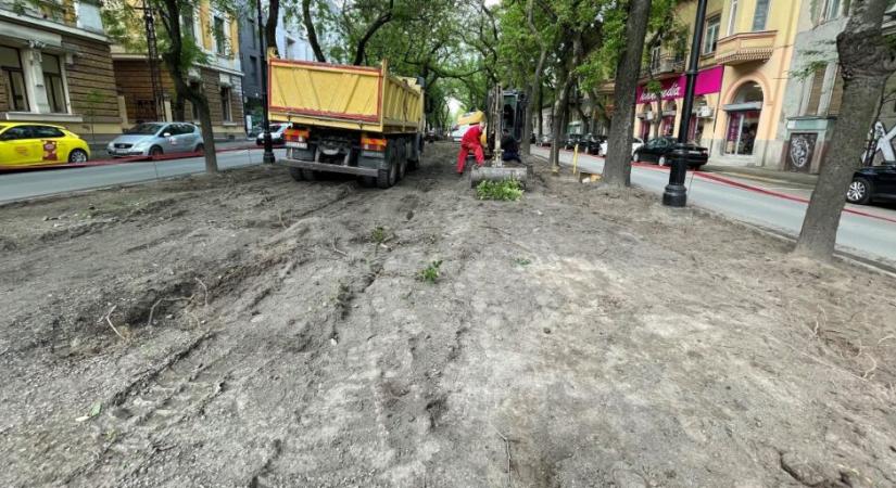 Felújítják a Petőfi Sándor utcában lévő parkot Szabadkán