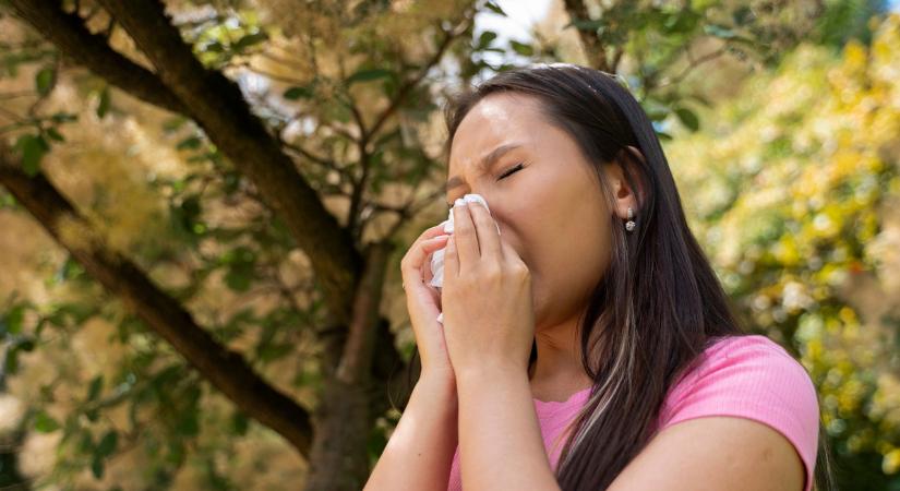 Elrajtolt a pollenszezon: most érdemes felkészülniük az allergiásoknak