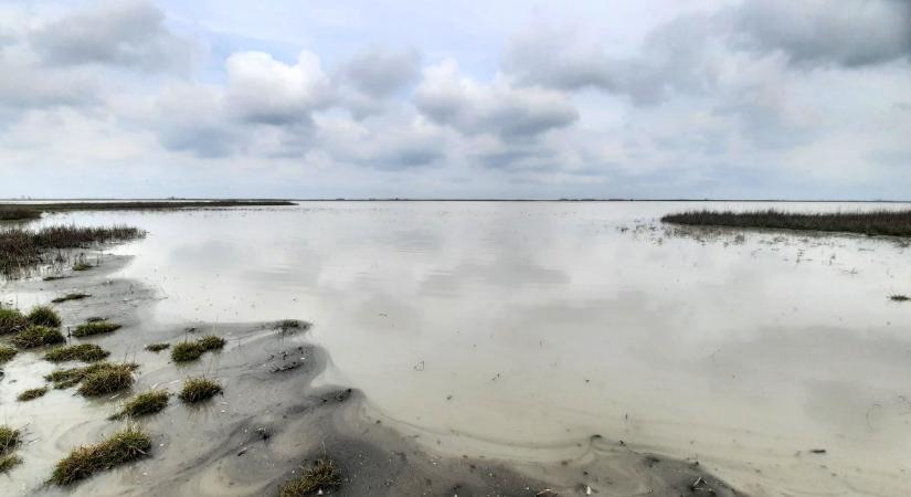 A puszta tükre – A kardoskúti Fehér-tó évszakai