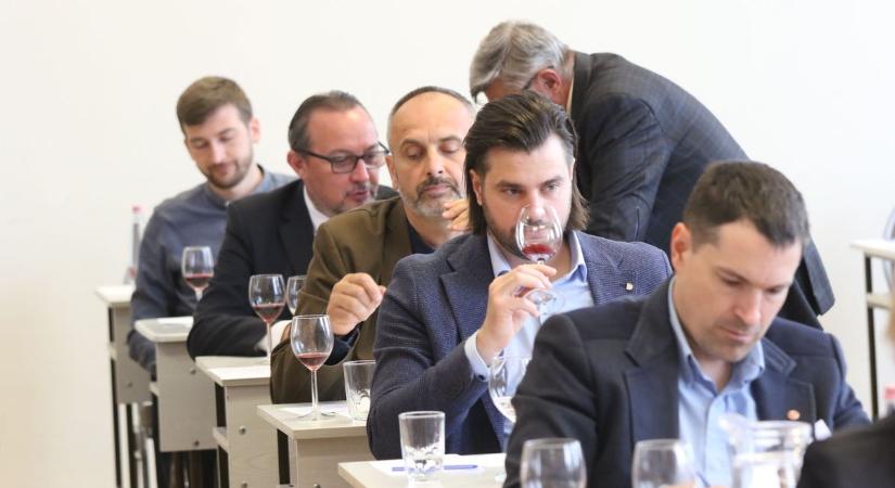 Veszélyben a legendás borfajta, de Kiskőrösön most újra reflektorfénybe került – galériával