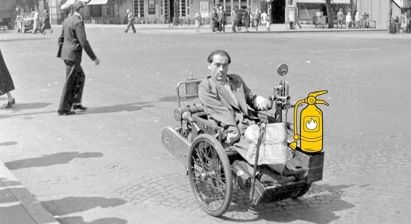 Sölch Ágoston: A könnyezőpálma