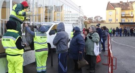 Hétfőn facsemeték kiosztásával várja a pécsieket a Biokom
